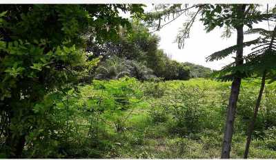 Residential Land For Sale in Veracruz, Mexico