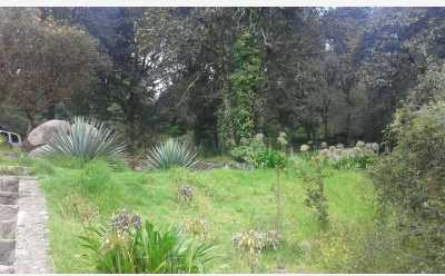 Residential Land For Sale in Pachuca De Soto, Mexico