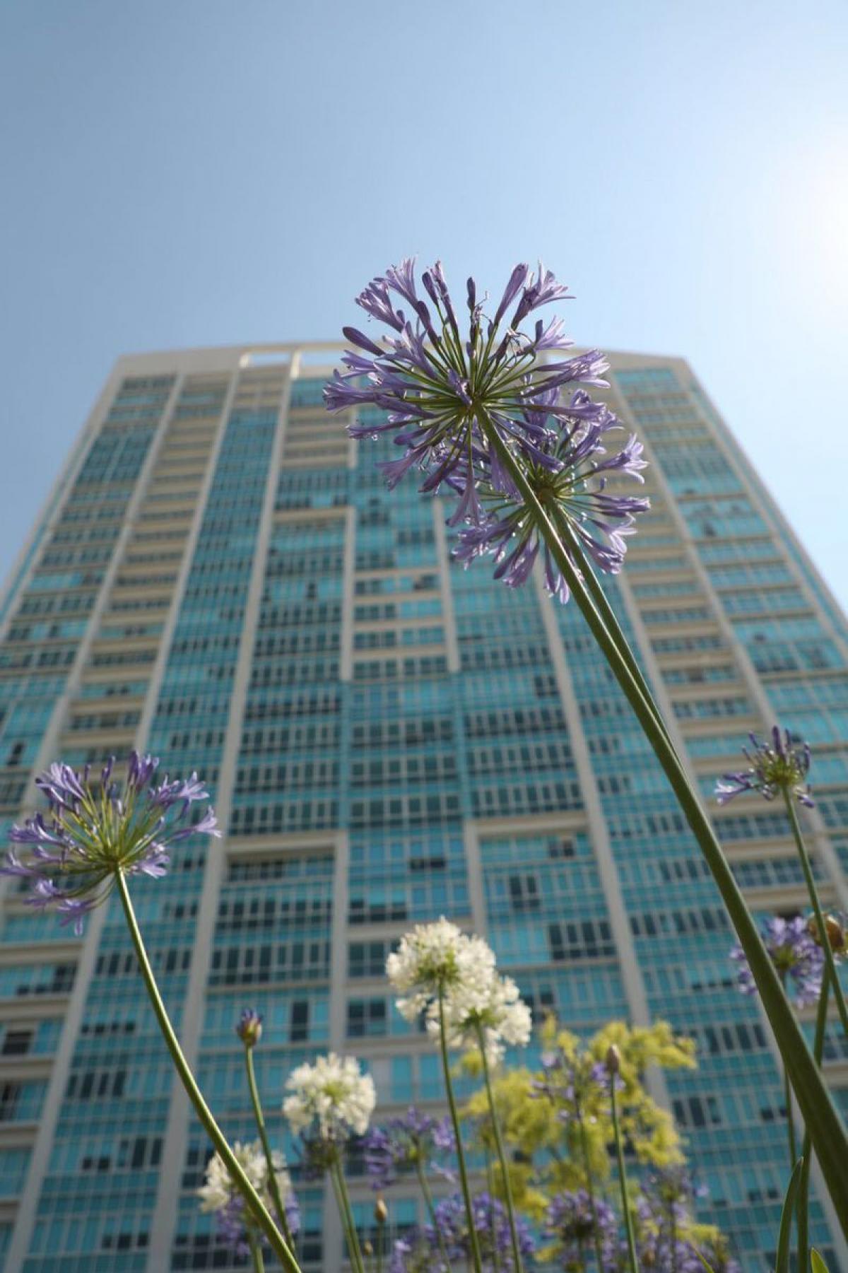 Picture of Apartment For Sale in Queretaro, Queretaro, Mexico