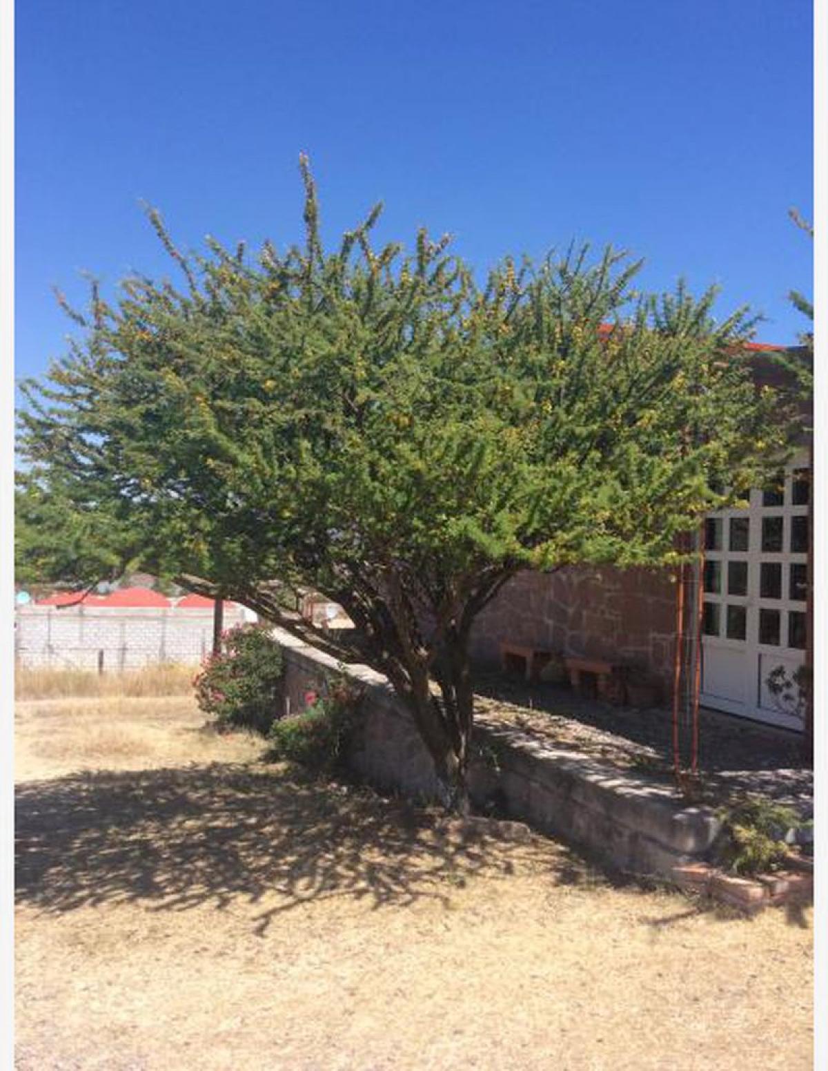 Picture of Home For Sale in Huimilpan, Queretaro, Mexico