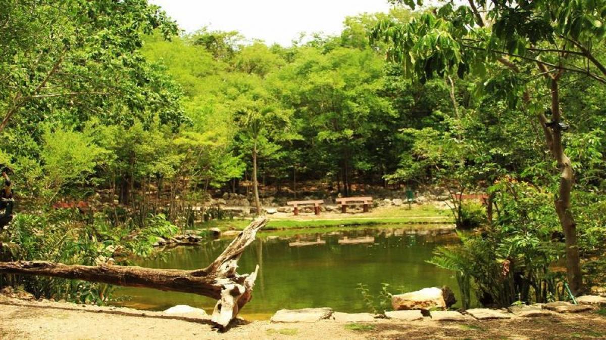 Picture of Residential Land For Sale in Solidaridad, Quintana Roo, Mexico