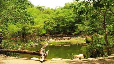 Residential Land For Sale in Solidaridad, Mexico