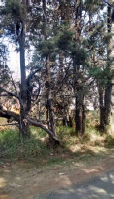 Residential Land For Sale in Estado De Mexico, Mexico