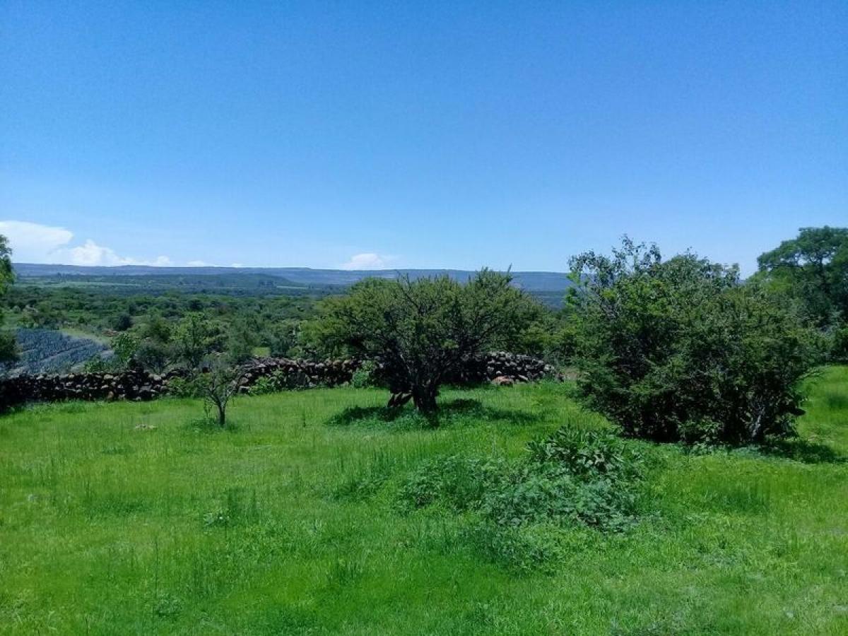 Picture of Residential Land For Sale in Arandas, Jalisco, Mexico