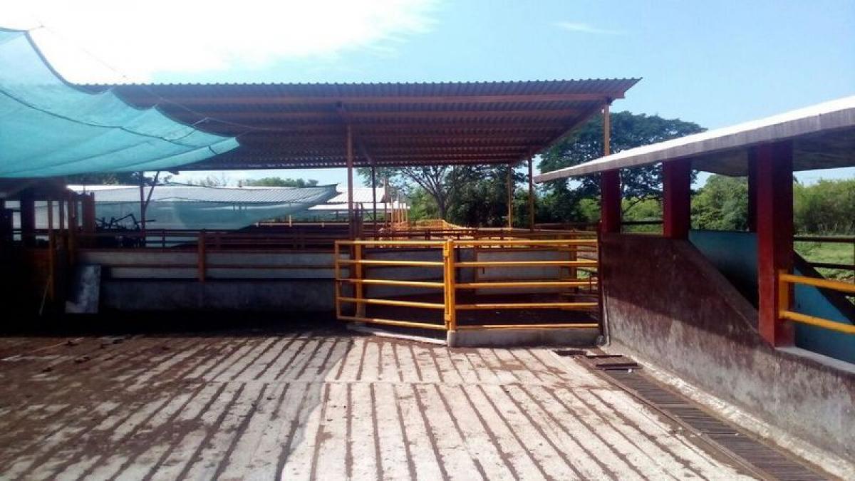 Picture of Development Site For Sale in Ruiz, Nayarit, Mexico