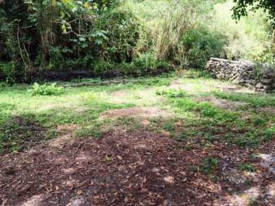 Residential Land For Sale in Morelos, Mexico