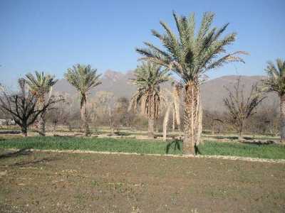 Residential Land For Sale in Garcia, Mexico