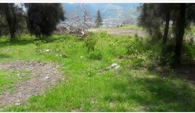 Residential Land For Sale in Chilpancingo De Los Bravo, Mexico