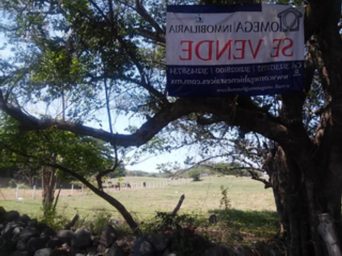 Picture of Residential Land For Sale in Colima, Colima, Mexico