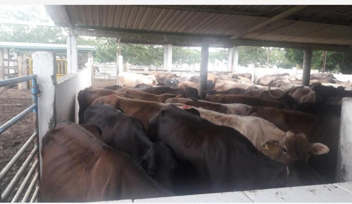 Picture of Residential Land For Sale in Tijuana, Baja California, Mexico