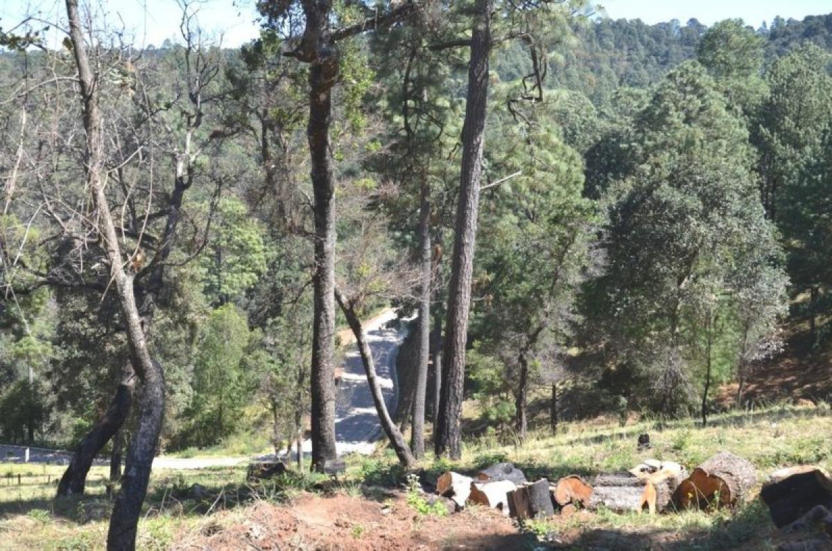 Picture of Development Site For Sale in Mazamitla, Jalisco, Mexico