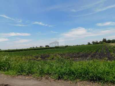 Residential Land For Sale in Celaya, Mexico