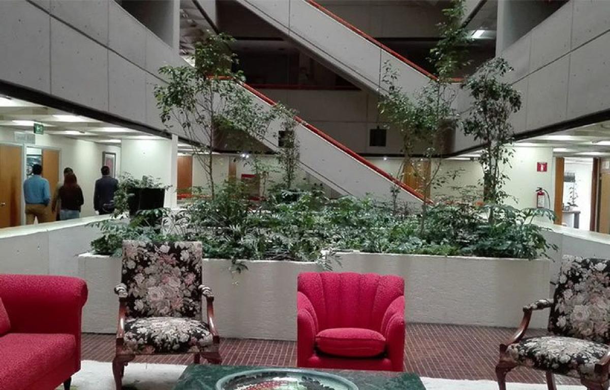 Picture of Office For Sale in Tlalpan, Mexico City, Mexico