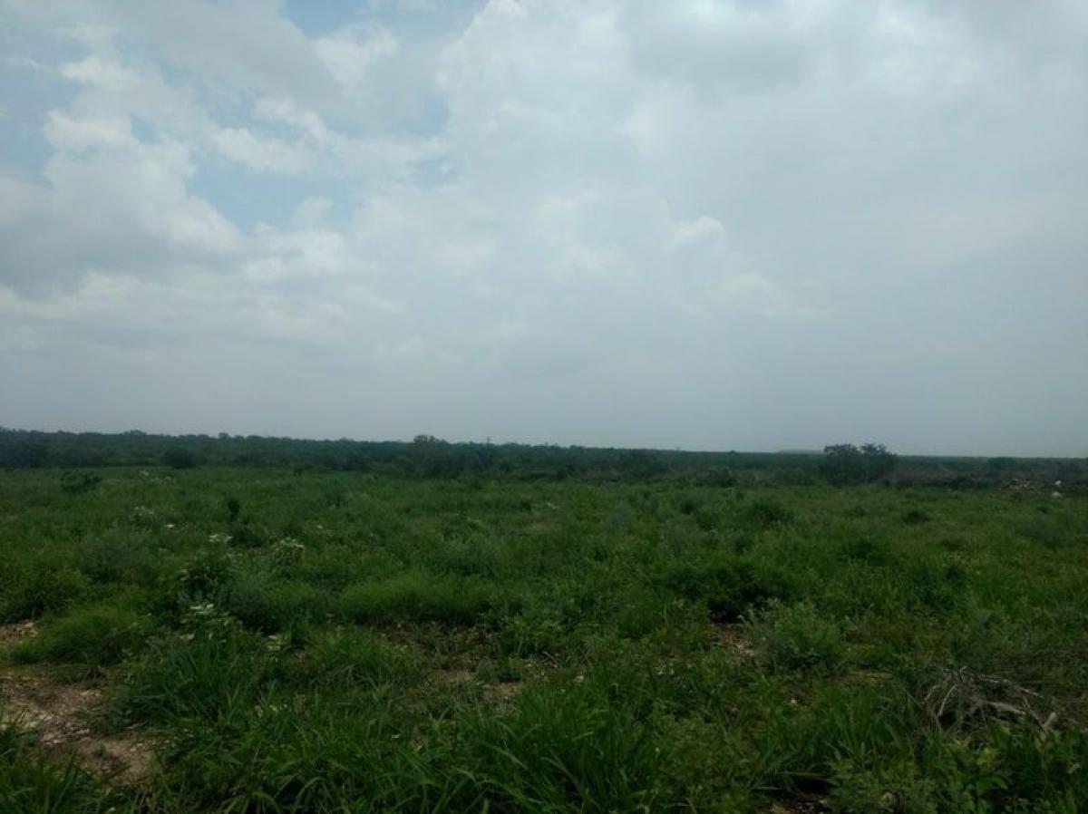 Picture of Development Site For Sale in Tamaulipas, Tamaulipas, Mexico