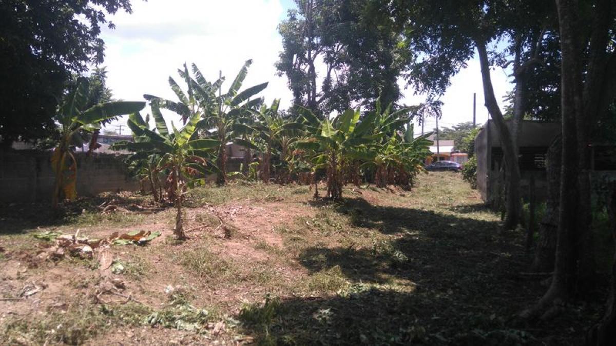 Picture of Other Commercial For Sale in Jalpa De Mendez, Tabasco, Mexico