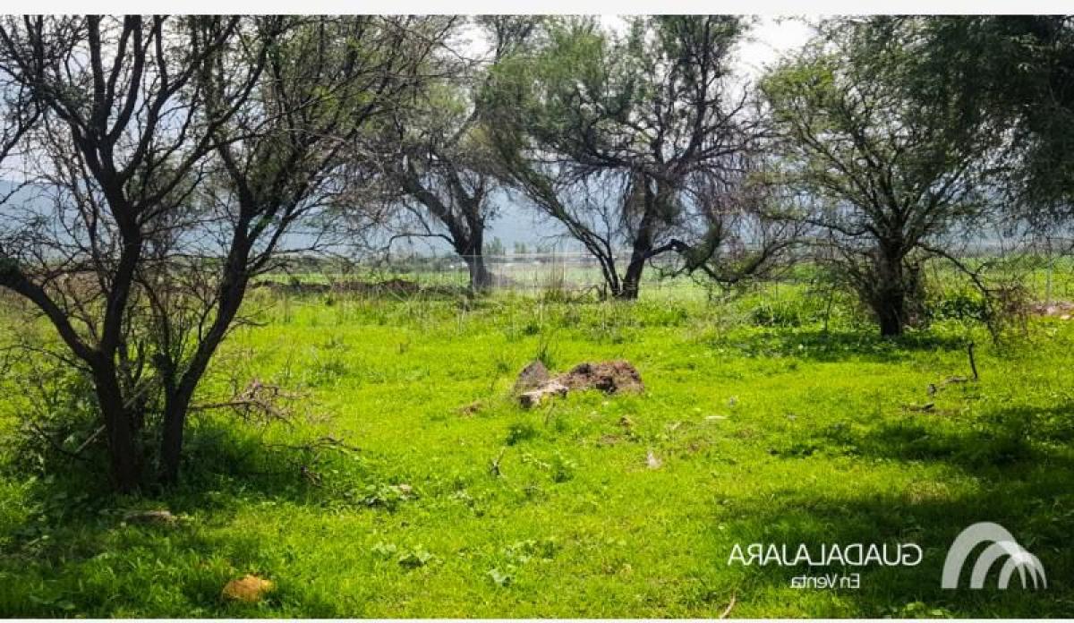 Picture of Residential Land For Sale in Tlajomulco De Zuniga, Jalisco, Mexico