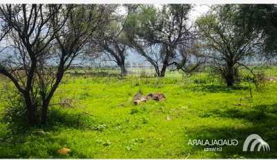 Residential Land For Sale in Tlajomulco De Zuniga, Mexico