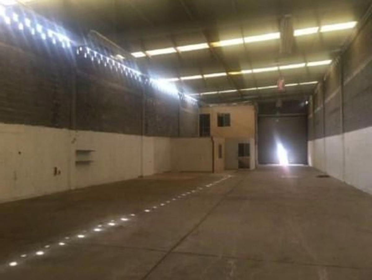 Picture of Penthouse For Sale in Nuevo Leon, Nuevo Leon, Mexico