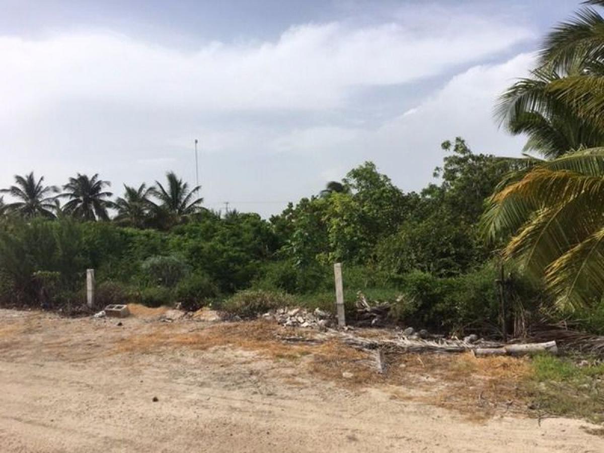 Picture of Residential Land For Sale in Telchac Puerto, Yucatan, Mexico