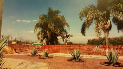 Other Commercial For Sale in Guanajuato, Mexico