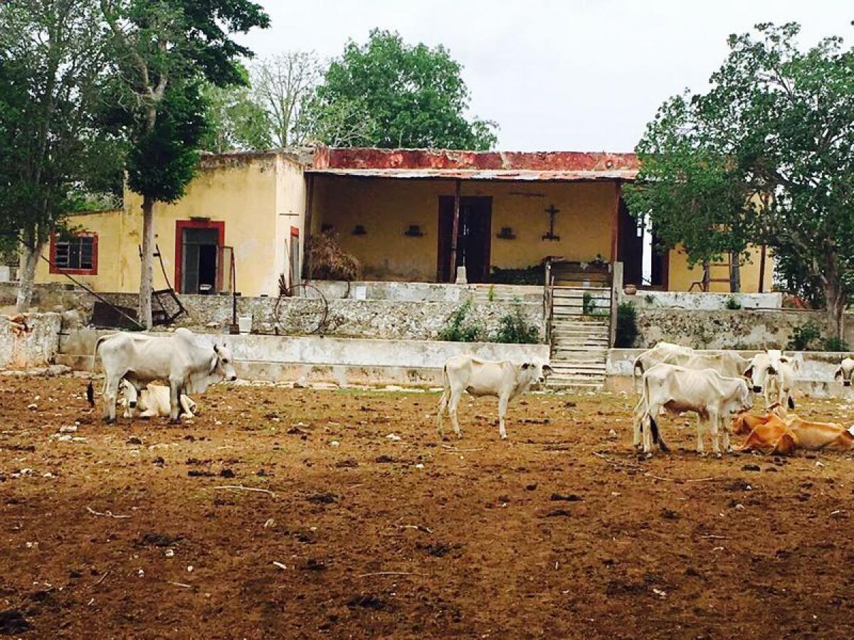 Picture of Other Commercial For Sale in Cacalchen, Yucatan, Mexico