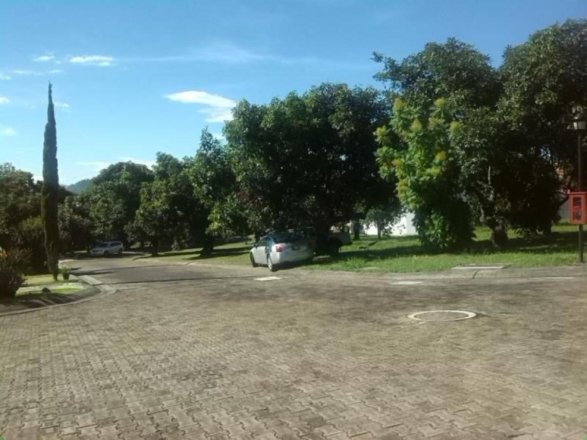Picture of Residential Land For Sale in Nayarit, Nayarit, Mexico