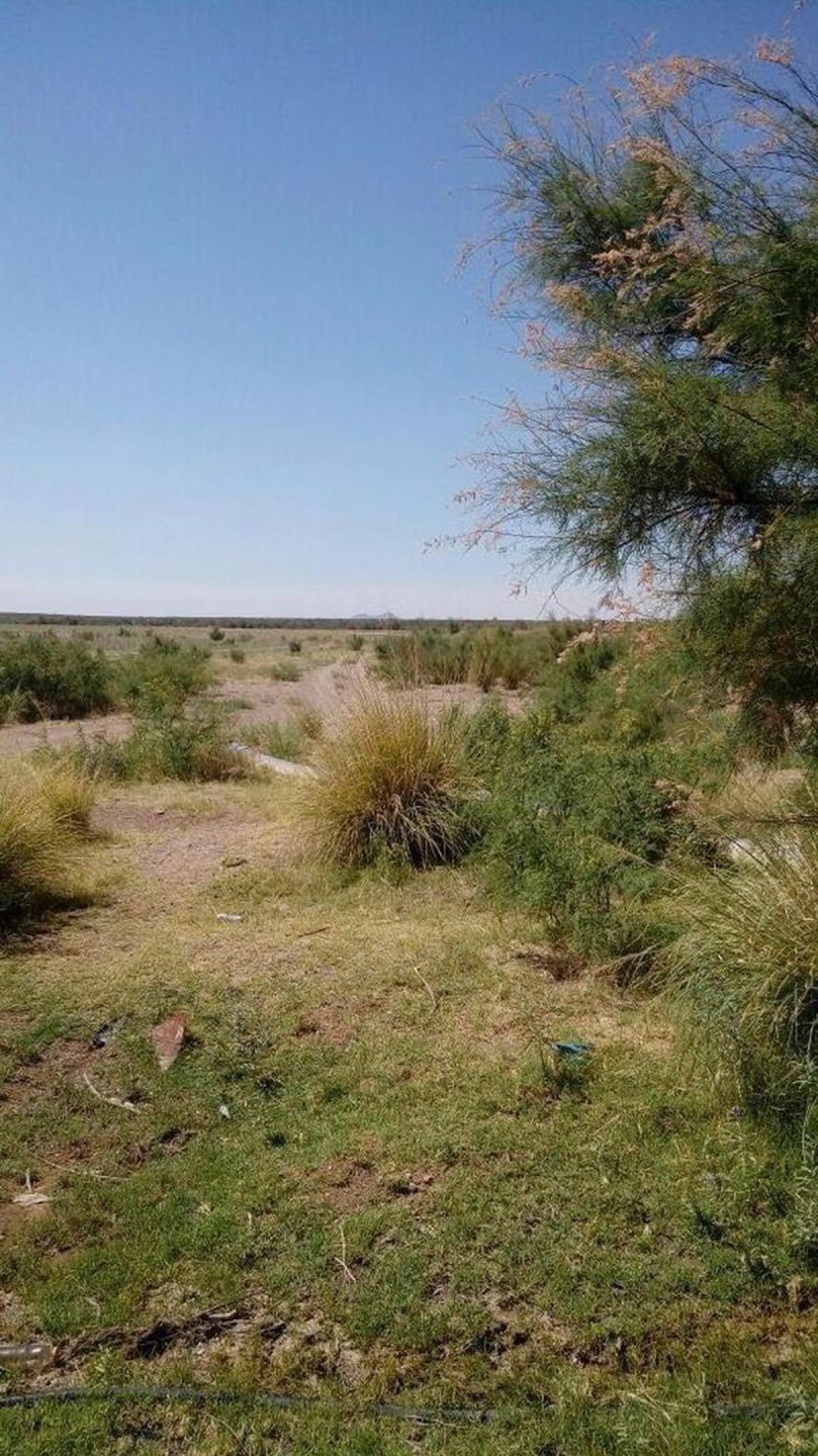 Picture of Home For Sale in Ascension, Chihuahua, Mexico