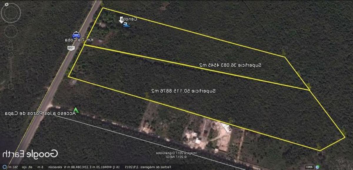 Picture of Residential Land For Sale in Tulum, Quintana Roo, Mexico