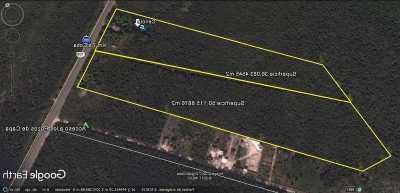 Residential Land For Sale in Tulum, Mexico