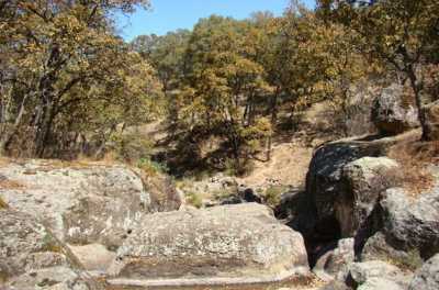 Other Commercial For Sale in Amealco De Bonfil, Mexico