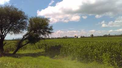 Residential Land For Sale in Pedro Escobedo, Mexico