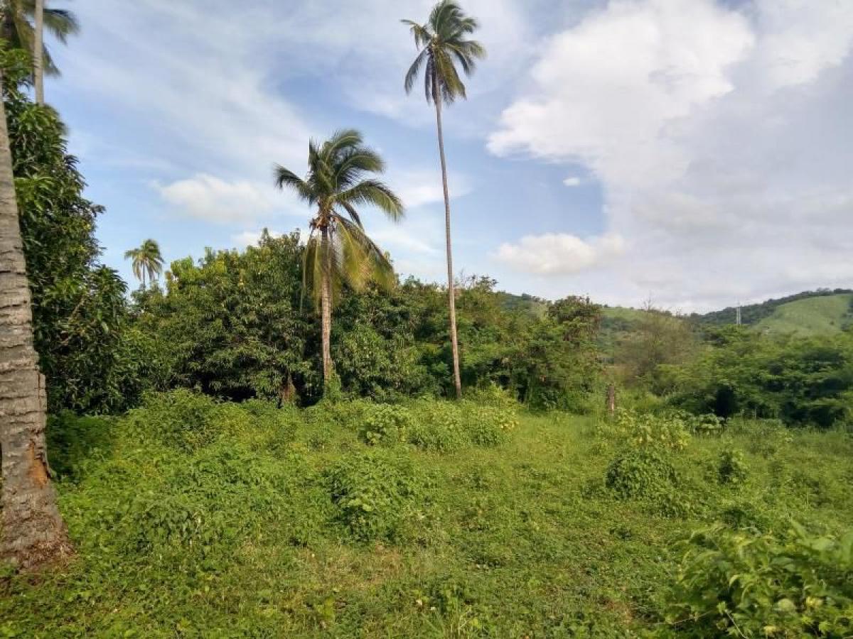 Picture of Residential Land For Sale in Coyuca De Benitez, Guerrero, Mexico