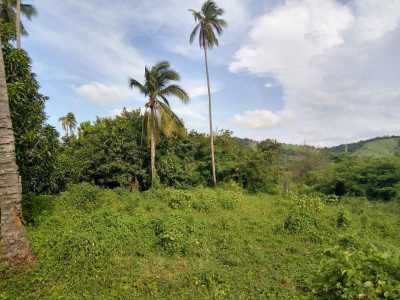Residential Land For Sale in Coyuca De Benitez, Mexico