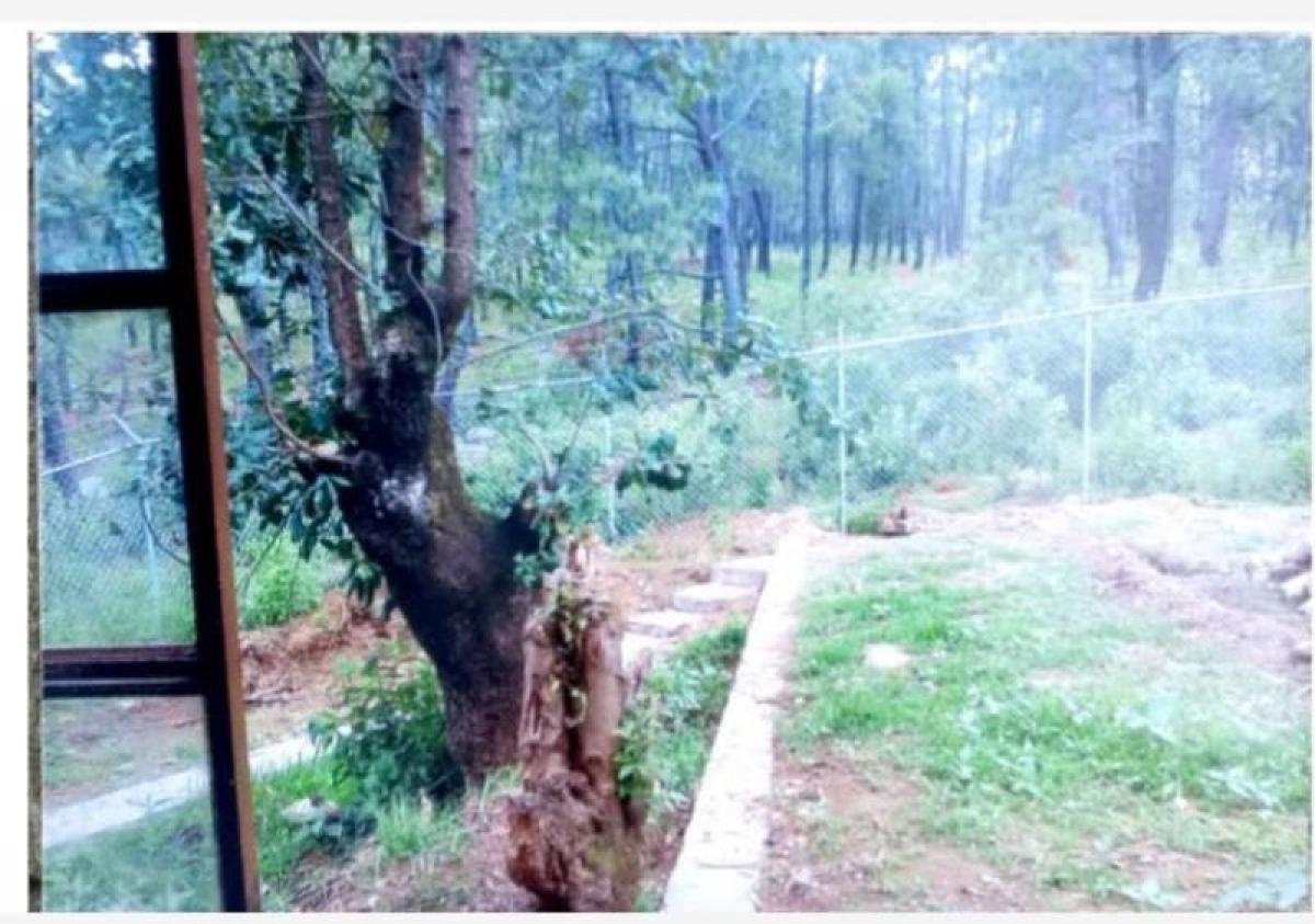 Tapalpa, Tapalpa, Jalisco, Mexico Residential Land For Sale at GLOBAL