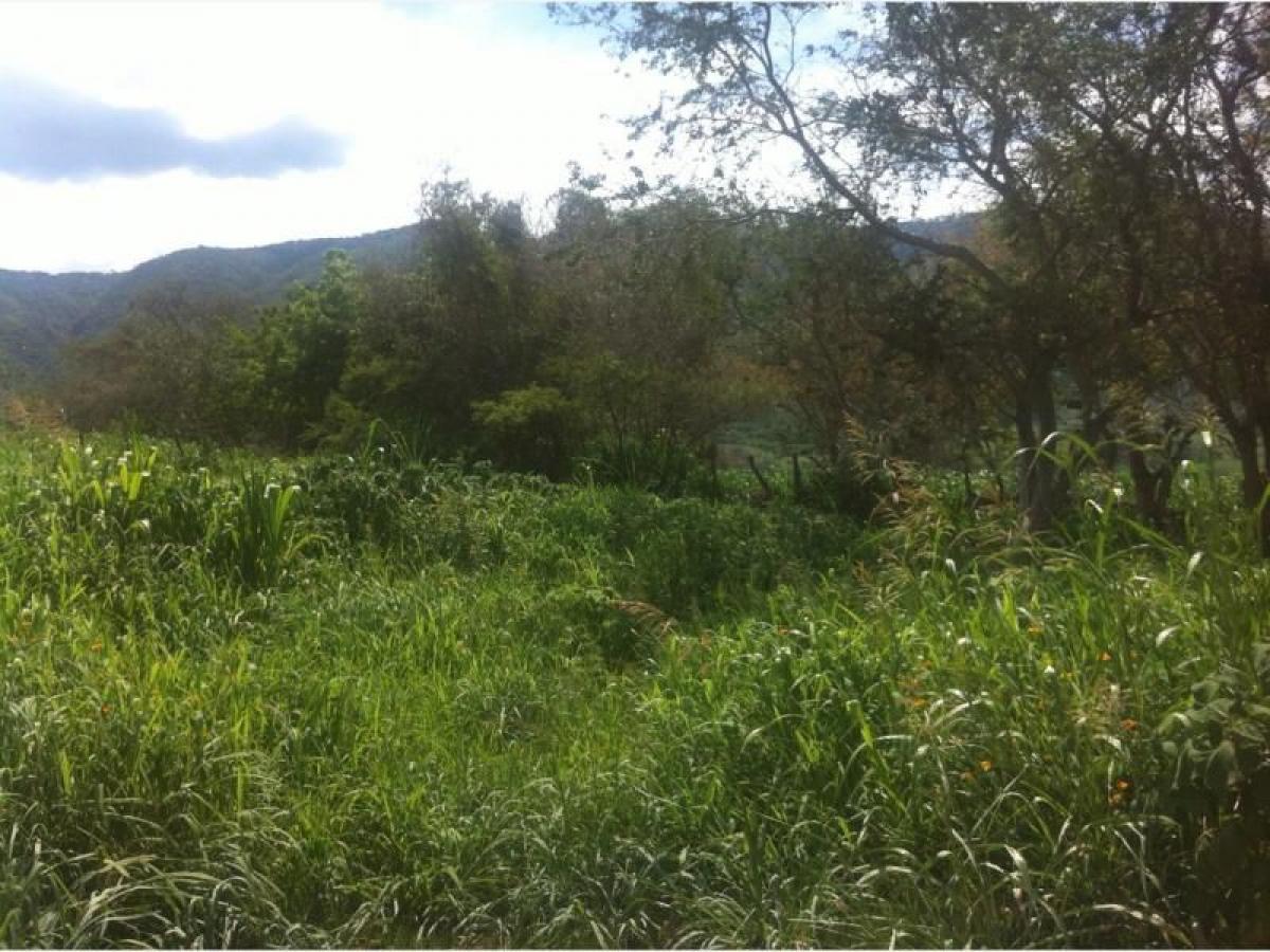 Picture of Residential Land For Sale in Tamazula De Gordiano, Jalisco, Mexico
