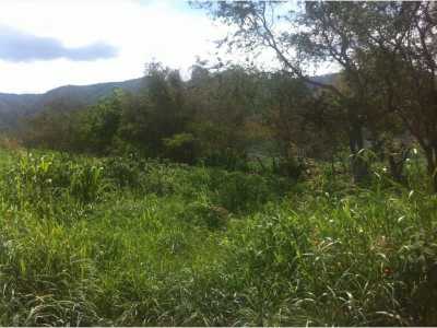Residential Land For Sale in Tamazula De Gordiano, Mexico