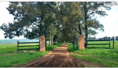 Residential Land For Sale in Tototlan, Mexico