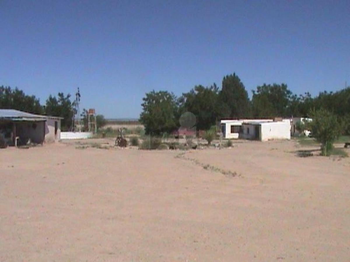 Picture of Residential Land For Sale in Coyame Del Sotol, Chihuahua, Mexico