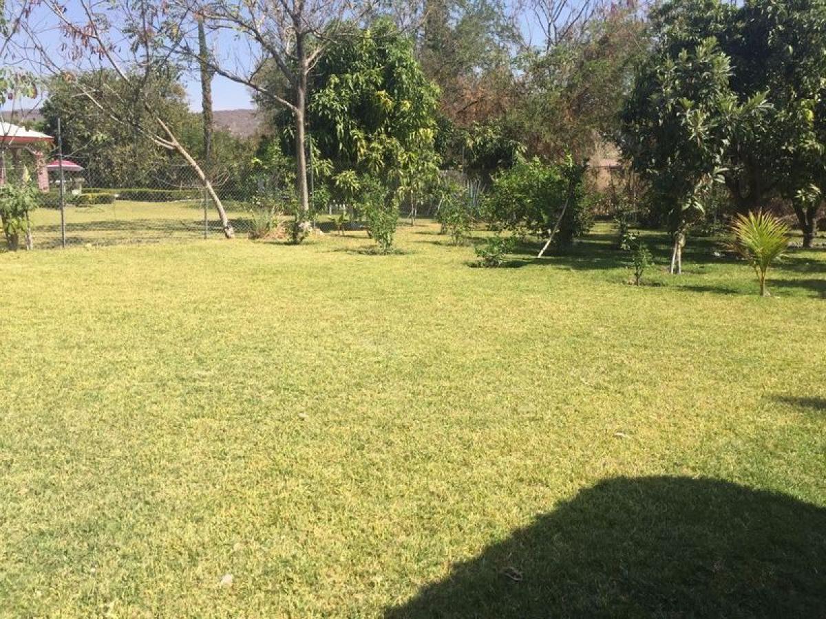 Picture of Residential Land For Sale in Tepalcingo, Morelos, Mexico