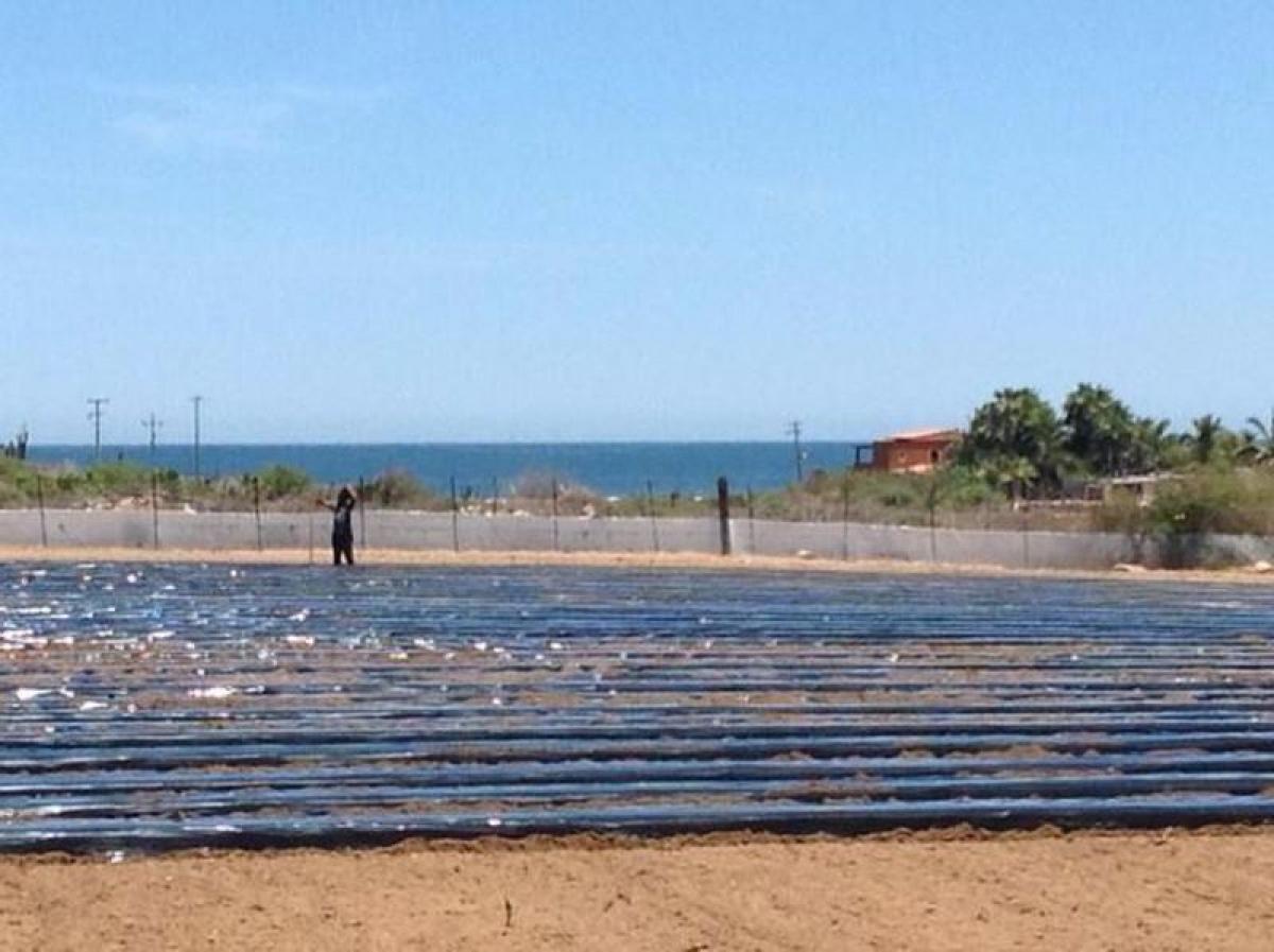 Picture of Apartment Building For Sale in Baja California Sur, Baja California Sur, Mexico