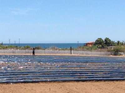 Apartment Building For Sale in Baja California Sur, Mexico