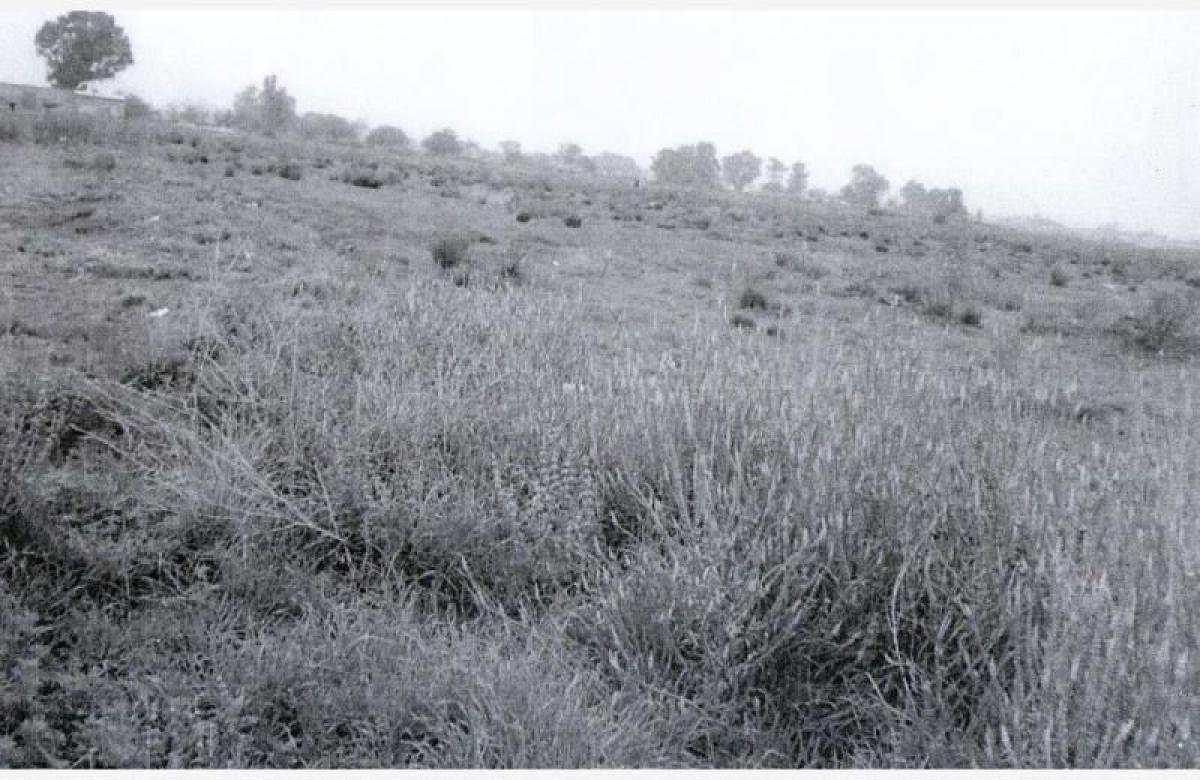 Picture of Residential Land For Sale in Tultitlan, Mexico, Mexico