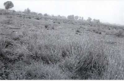 Residential Land For Sale in