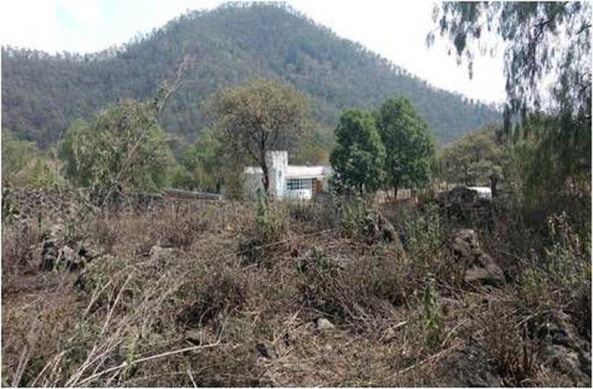 Picture of Other Commercial For Sale in Xochimilco, Mexico City, Mexico