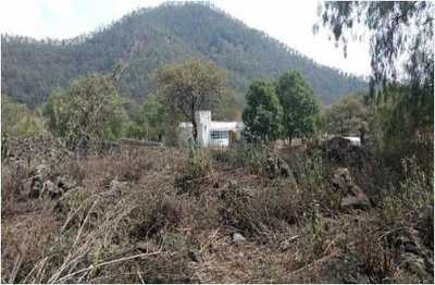 Other Commercial For Sale in Xochimilco, Mexico