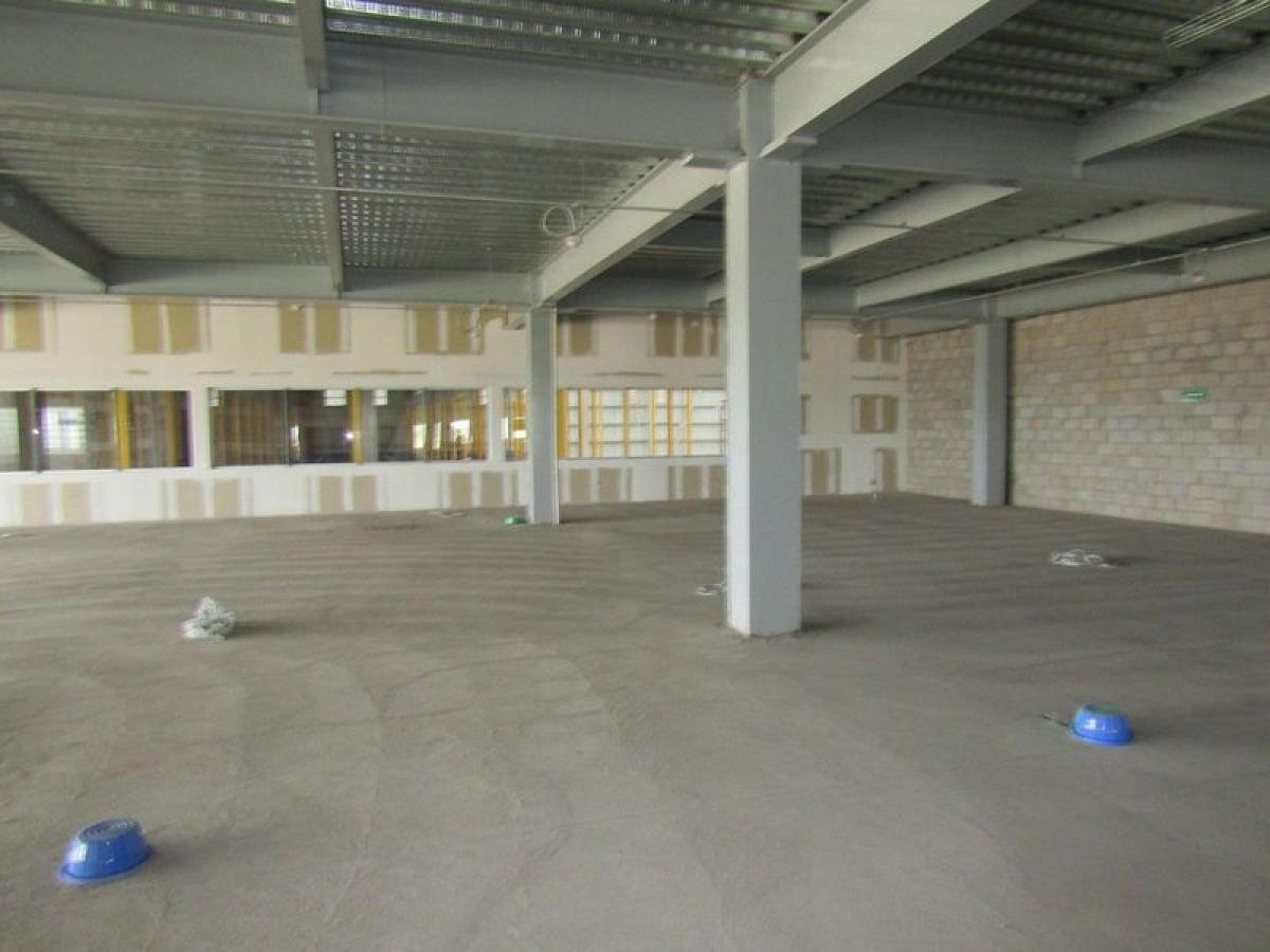 Picture of Office For Sale in San Pedro Tlaquepaque, Jalisco, Mexico