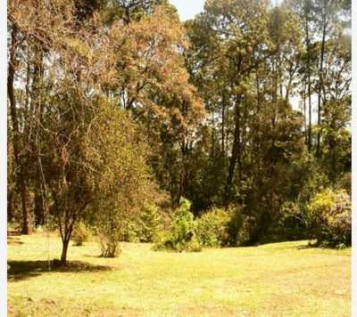 Residential Land For Sale in Valle De Bravo, Mexico