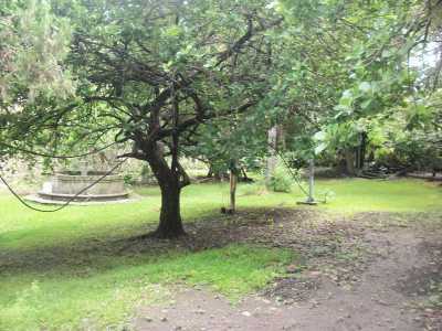 Residential Land For Sale in Temixco, Mexico