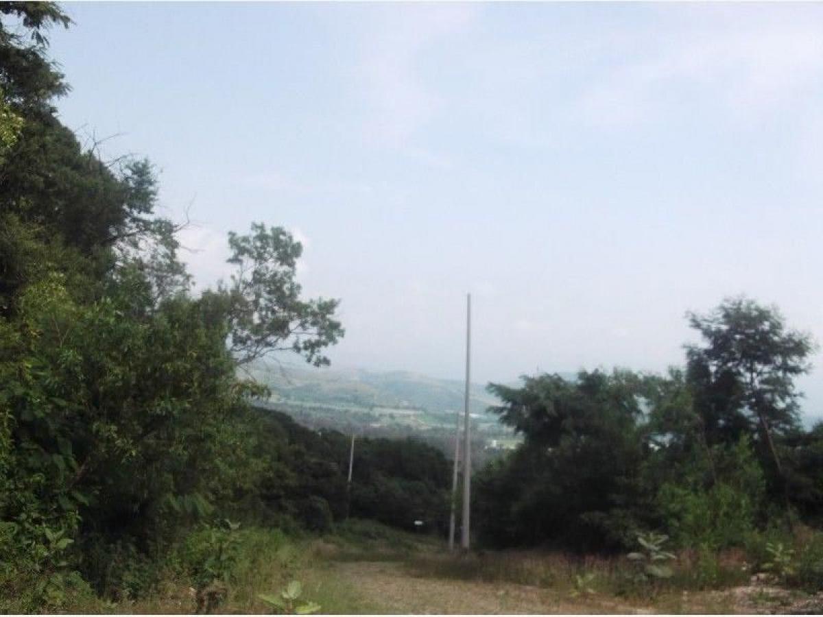 Picture of Residential Land For Sale in Ixtapan De La Sal, Mexico, Mexico