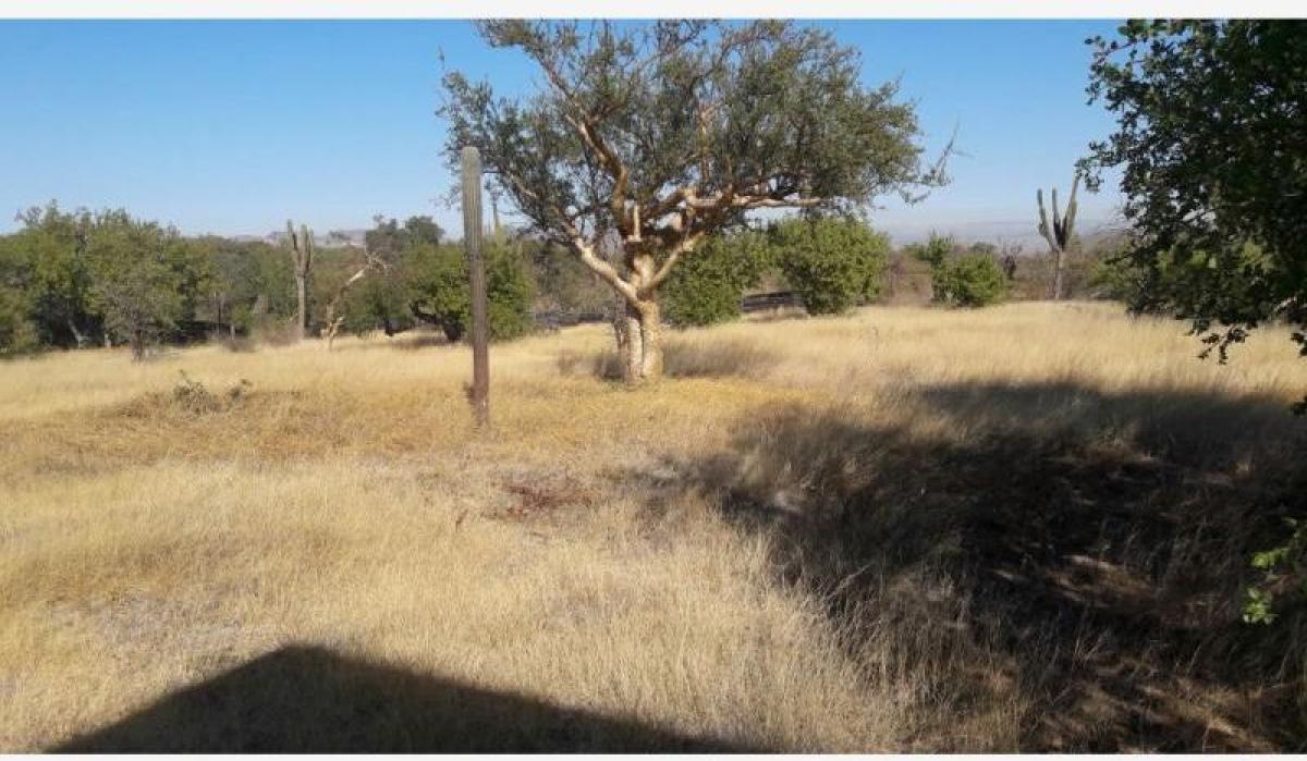 Picture of Residential Land For Sale in La Paz, Baja California Sur, Mexico